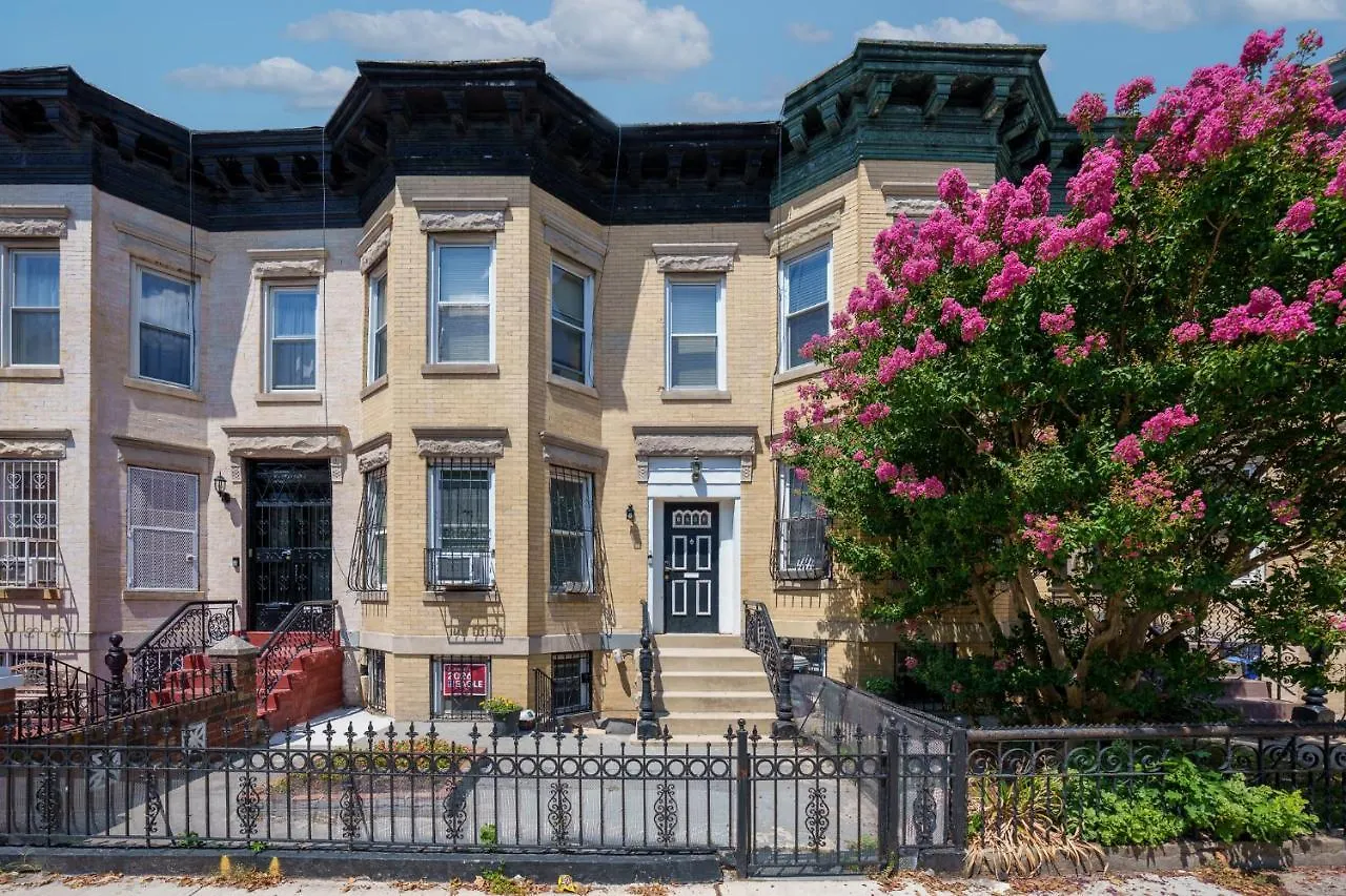 公寓 Lovely 2 Bedroom In The Hearts Of Crown Heights 纽约